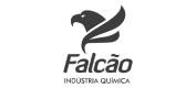 Falcão - Logo